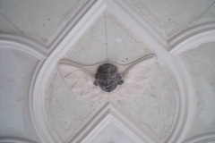 Dartmouth Project - Ornamental Plaistering