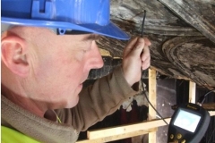 Dartmouth Project - Ornamental Plaistering