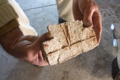 Dartmouth Project - Ornamental Plaistering