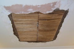 Ornamental plaistering
