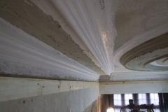 Sydenham House Specialist Plaistering protection of Ancient Buildings