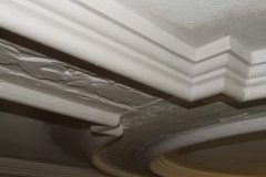 Sydenham House Specialist Plaistering protection of Ancient Buildings