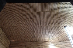 Sydenham House Specialist Plaistering protection of Ancient Buildings